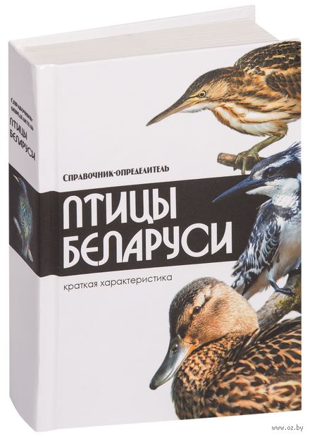 Топ – 5 редких птиц Беларуси, которых можно не увидеть