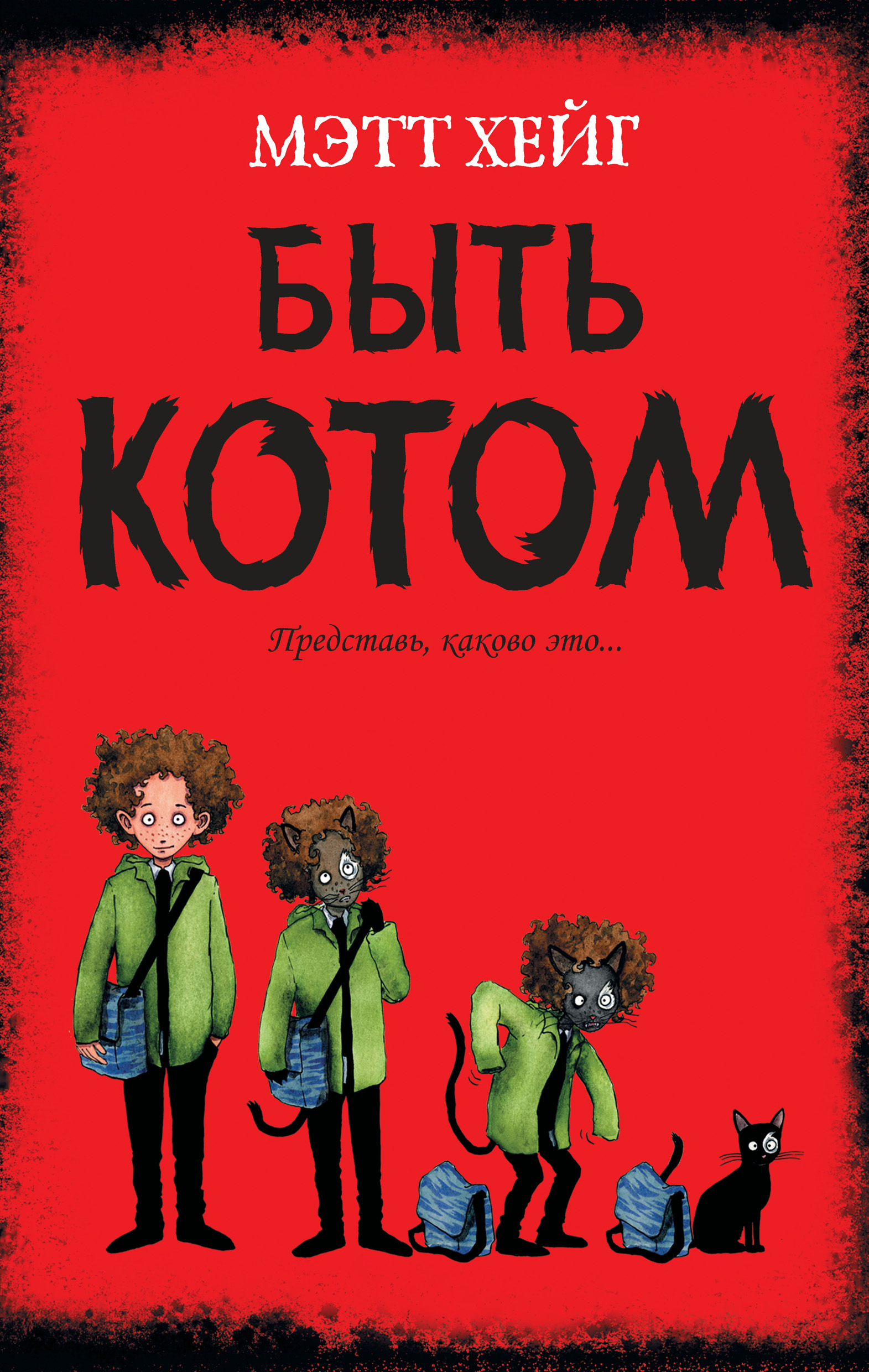 Как стать котом. Мэтт Хейг. Быть котом Мэтт Хейг иллюстрации. Быть котом книга. Книга быть котом обложка.