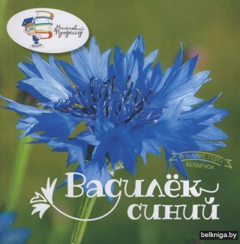 Василёк синий : растение года Беларуси