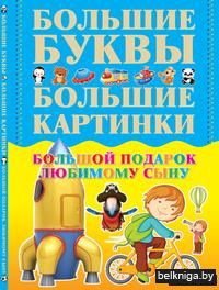 Большой подарок любимому сыну