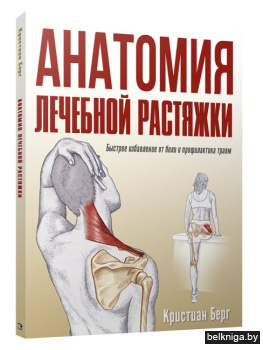 Анатомия лечебной растяжки