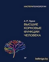 Высшие корковые функции человека