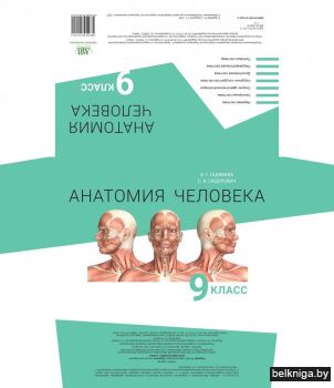 Анатомия человека. 9 класс. Наглядное пособие