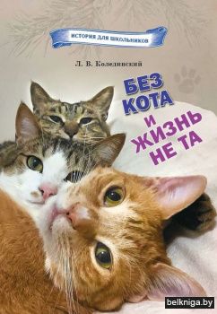 Без кота и жизнь не та. Домашняя кошка в Беларуси