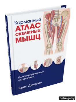 Карманный атлас скелетных мышц. Иллюстрированный справочник