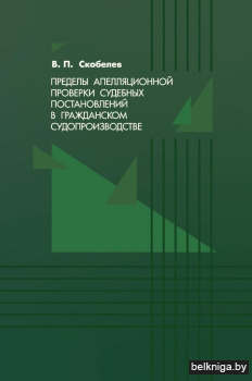Пределы апелляционной проверки судебных постановлений в гражданском судопроизводстве