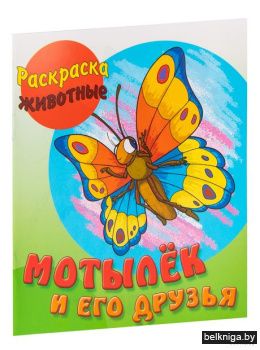 РАСКРАСКА-ЖИВОТНЫЕ.(А5+).МОТЫЛЕК И ЕГО Д