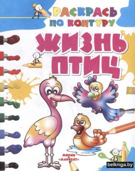 НиР.\Жизнь птиц