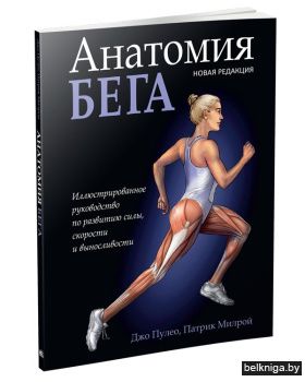 Анатомия бега