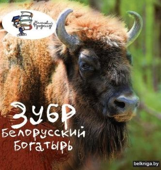 Зубр: белорусский богатырь