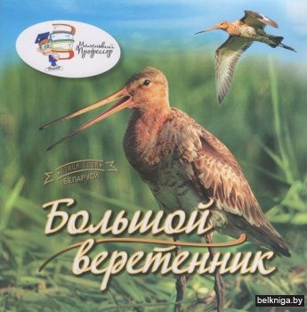 Большой веретенник : Птица года Беларуси