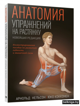 Анатомия упражнений на растяжку