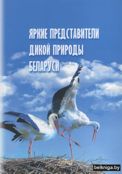 Яркие представители дикой природы Беларуси