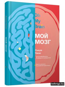Мой мозг