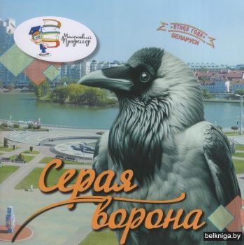 Птица года Беларуси. Серая ворона