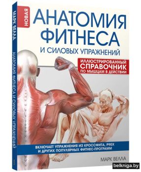 Анатомия фитнеса и силовых упражнений: и