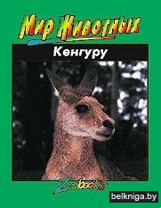 Кенгуру