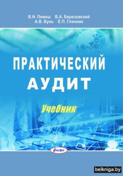 Практический аудит: учебник