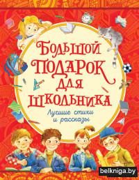 Большой подарок для школьника