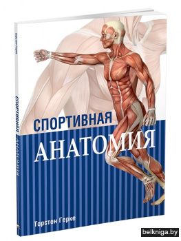 Спортивная анатомия