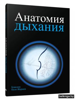 Анатомия дыхания