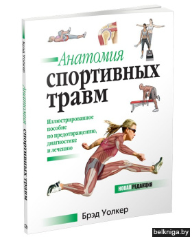 Анатомия спортивных травм
