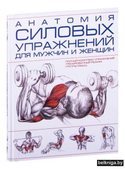 Анатомия силовых упражн для мужч и женщ