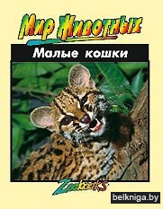 Малые кошки