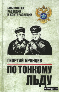 По тонкому льду: роман
