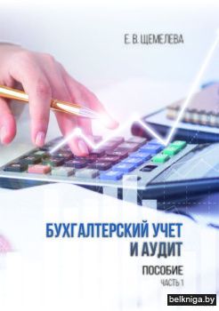 Бухгалтерский учет и аудит часть1