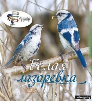 Птица года Беларуси. Белая лазоревка